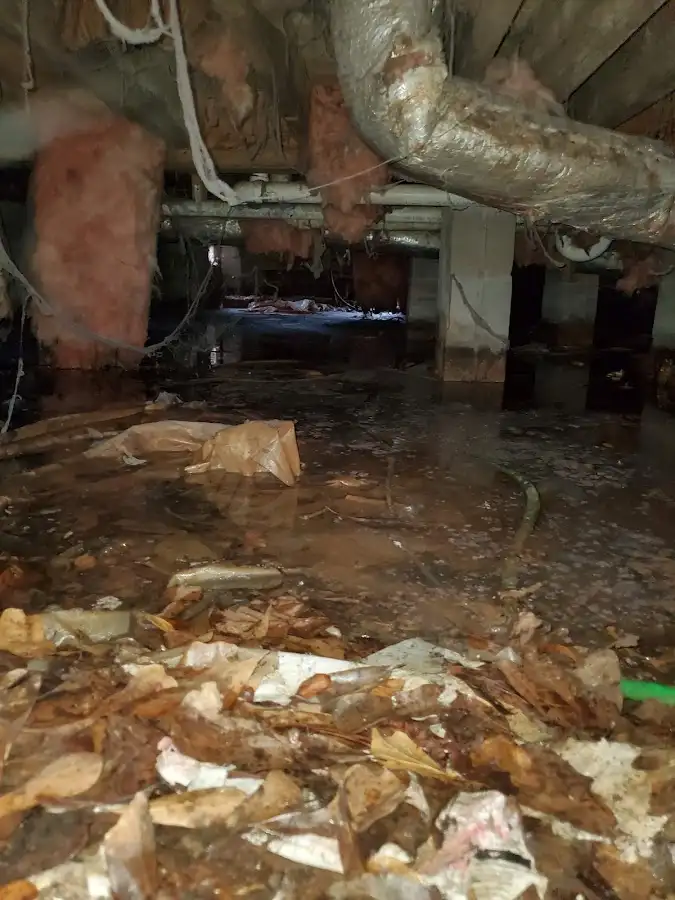 Crawl space flood assessment for Leak Detection & Repair in Westport